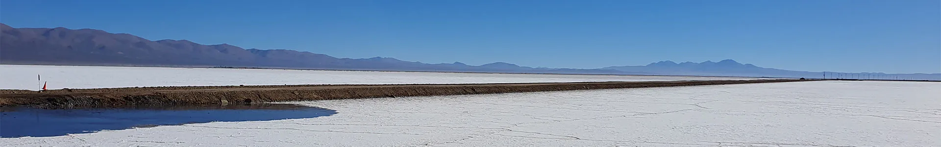 Moving to Lithium Brine Production and Reconciliation: Key Challenges for Mobile Ore